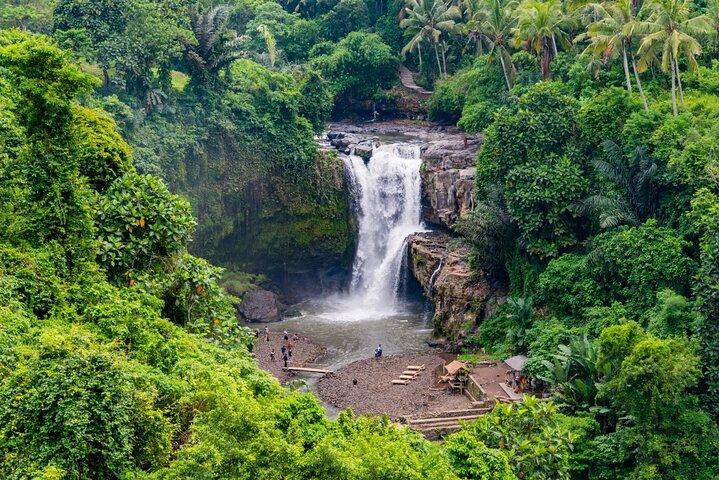 Private Ubud Custom Day Trip in Bali