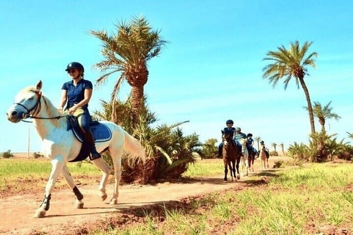 One Hour Horse Riding at Palmeraie Grove & Transfer - Marrakesh