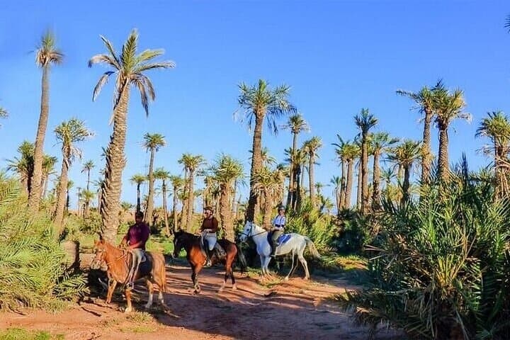 One Hour Horse Riding at Palmeraie Grove & Transfer - Marrakesh