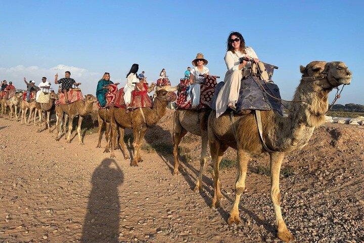 Agadir Camel Ride with BBQ and Couscous Dinner
