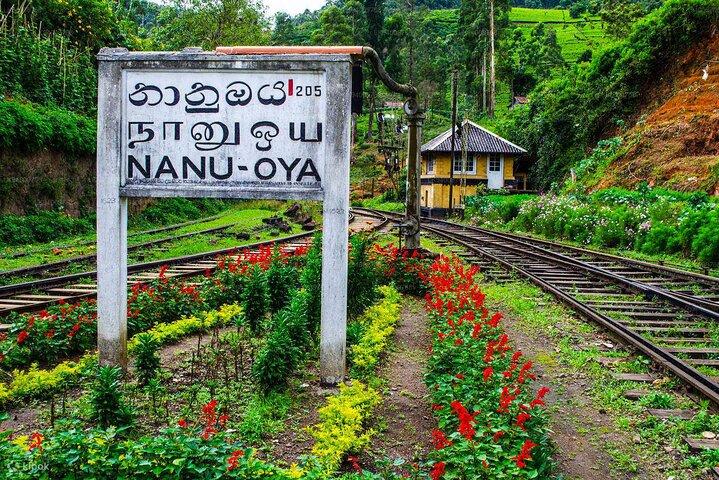 Kandy To Nanuoya Station (Nuwaraeliya) to catch the Ella train