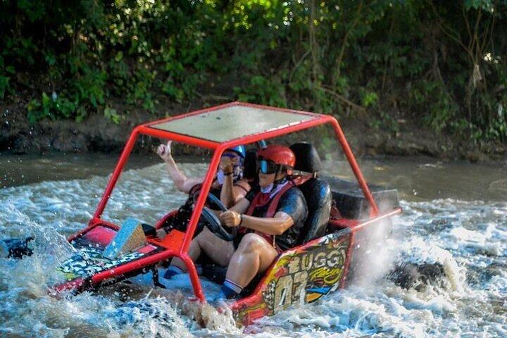 3x1: Monkeyland Waterfalls and Buggy Tour Puerto Plata