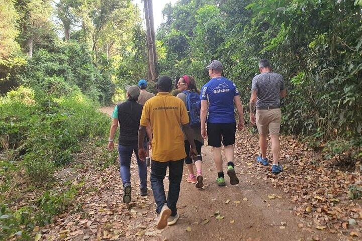 Explore Moshi Town with Locals