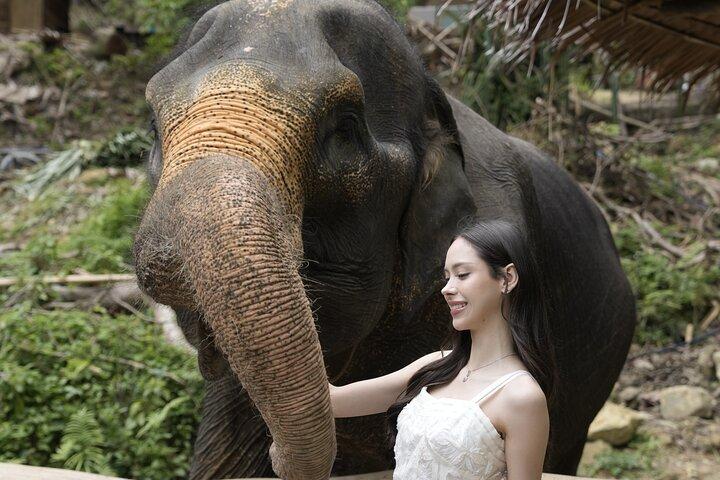 Half day with Elephants at Patong Elephant Hug （No ride No trick）