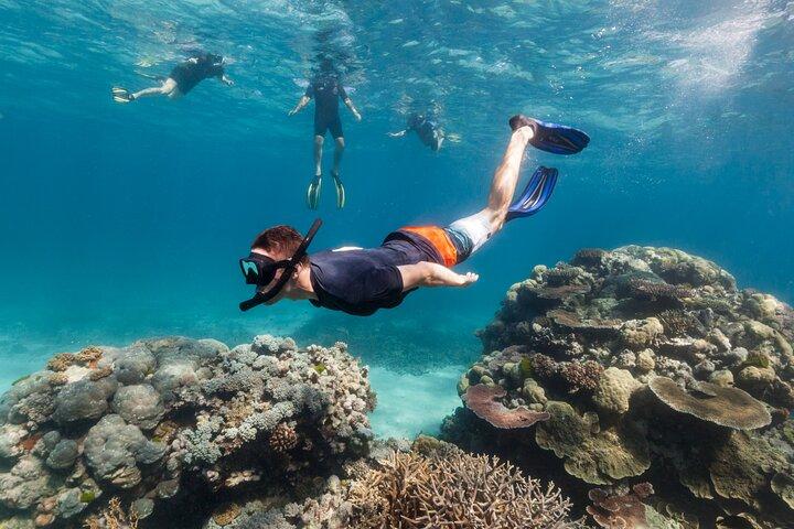 Snorkeling with Boat ride & Margaritaville Hip-Strip Montego Bay