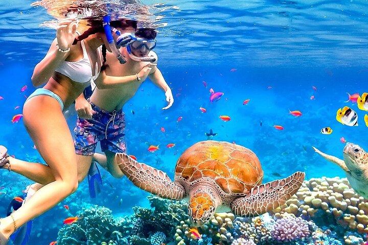 Snorkeling with Boat ride & Margaritaville Hip-Strip Montego Bay