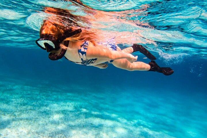 Snorkeling with Boat ride & Margaritaville Hip-Strip Montego Bay