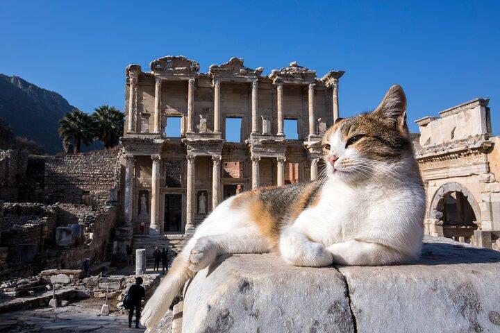 Ephesus & Virgin Mary Day Trip from Istanbul with Flights
