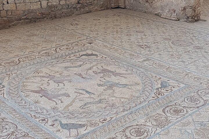 Roman Ruins Conimbriga Private Tour