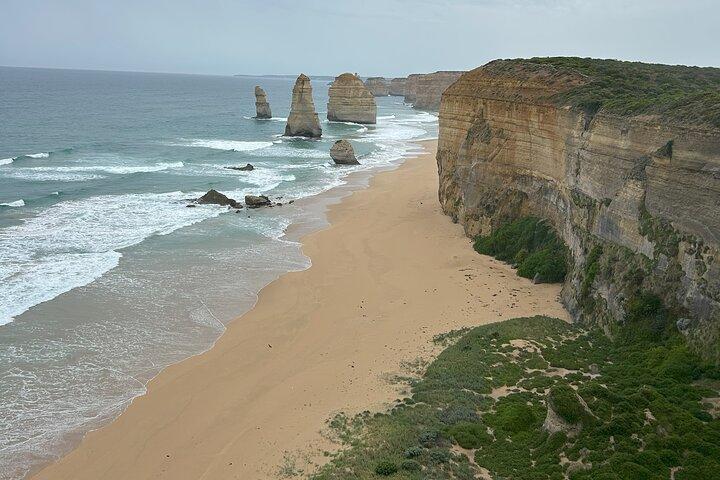 Great Ocean Road and 12 Apostles Private Day Tour