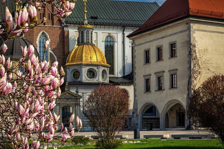 Skip-the-line Wawel Cathedral in Krakow Private Tour