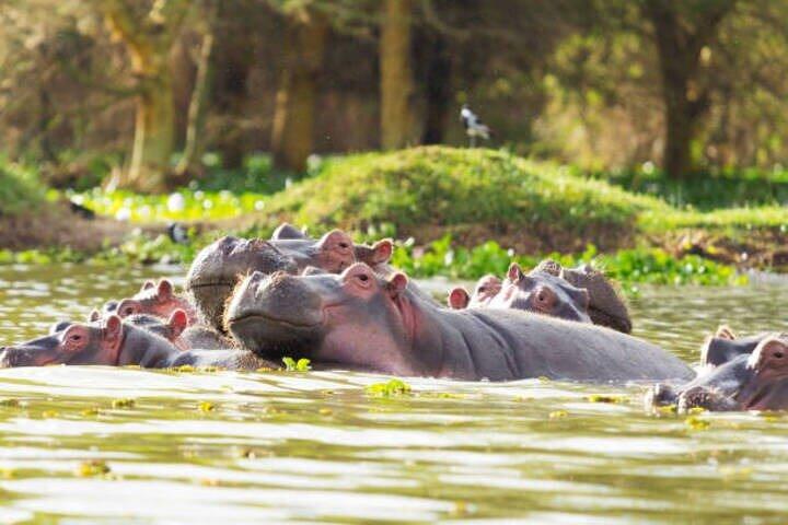 Private Tour to Hells Gate and Lake Naivasha with Spa