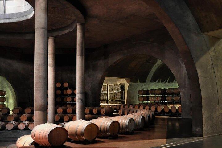 Uco Valley : Zuccardi Experience & Lunch at Salentein Winery.
