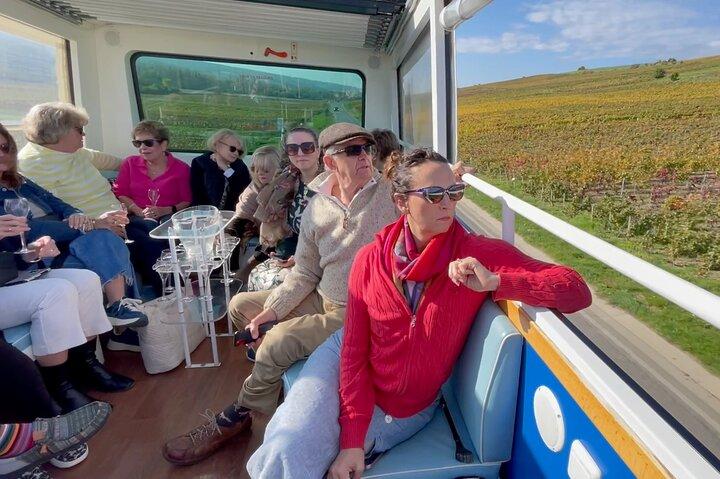 Epernay and Vineyards with Champagne Tasting