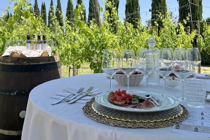 Lunch in a Tuscan vineyard with wine tasting