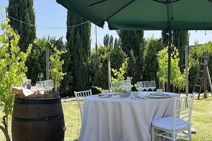 Lunch in a Tuscan vineyard with wine tasting
