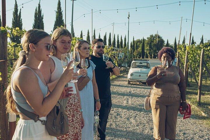 Lunch in a Tuscan vineyard with wine tasting