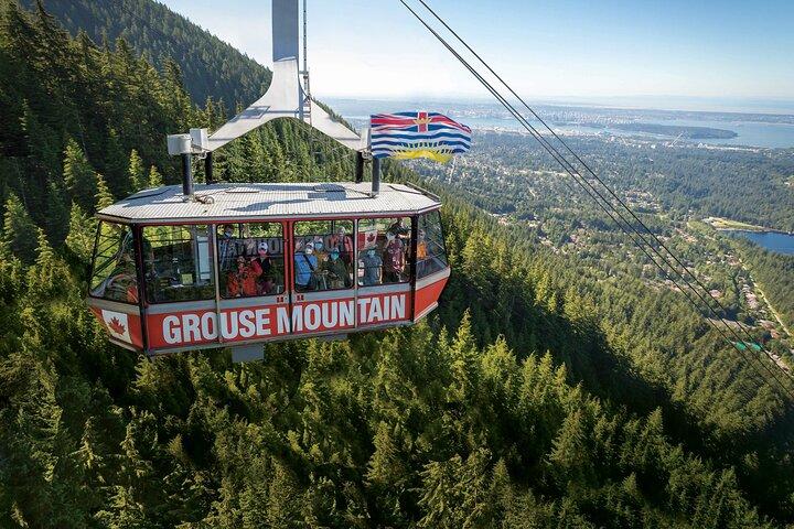 Guided Vancouver Hiking Highlights Day Tour with Gondola Download