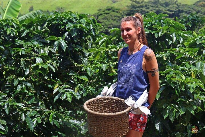 Monteverde : Coffee Tour + Chocolate + Cane Juice