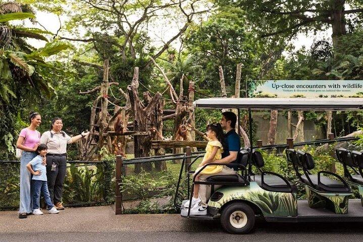 Singapore Zoo with Tram Ride Experience for Tourist