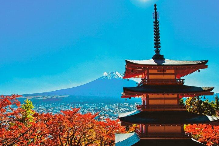 Mt.Fuji,Arakurayama, Fujimichi ,Oishi Park, Kawaguchiko w/ Lunch