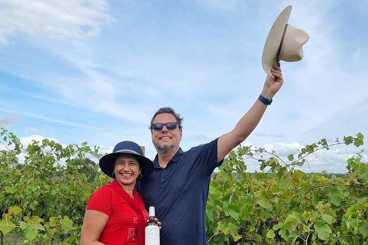 Hunter Valley Wine and Cheese Tasting Day Tour from Sydney