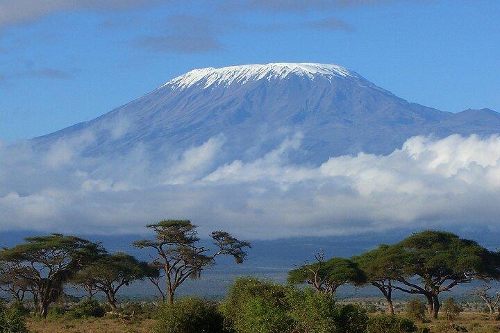 8 Days Mount Kilimanjaro Trek Tour Lemosho Route