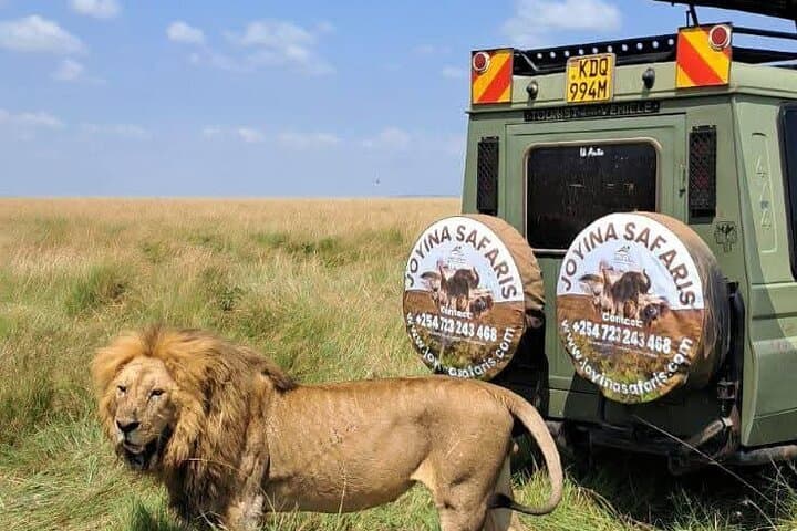 3Days/2Nights Masai Mara Safari on Midrange camp with Landcruiser
