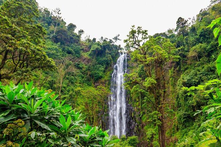 Private Arusha Tour by Car: Materuni Waterfalls & Coffee Tasting