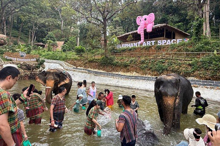 Half day with Elephants at Patong Elephant Hug （No ride No trick）