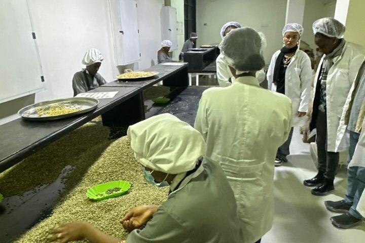 Ethiopia coffee cupping class and Ethiopian food injera making
