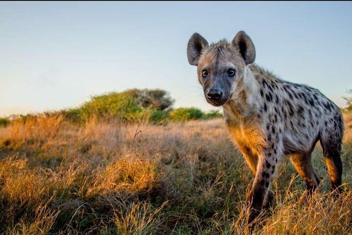 Arusha Tanzania 4WD Private Tour