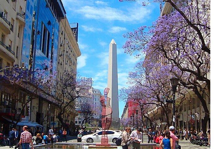 Buenos Aires City Private Van Tour with Local Guide
