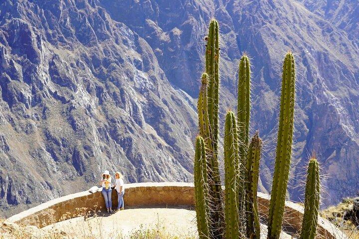 Arequipa 2 day tour to Colca Canyon and Cruz del Cóndor