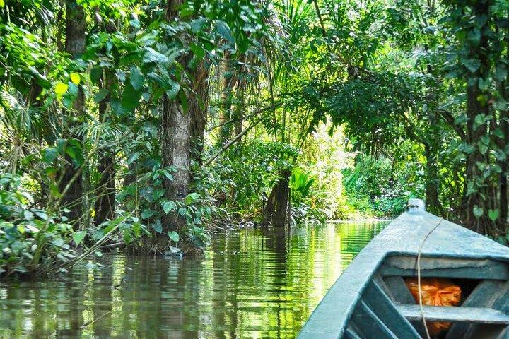 Peruvian Amazon Rainforest of Tambopata for 3 Days 2 Nights