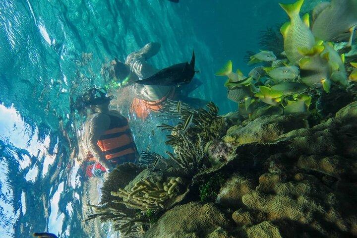 Contoy Reef & Isla Mujeres Tour! From Cancun & Playa del Carmen