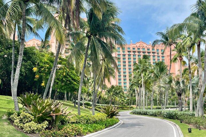 Nassau Private Airport & Cruise Port Transfer