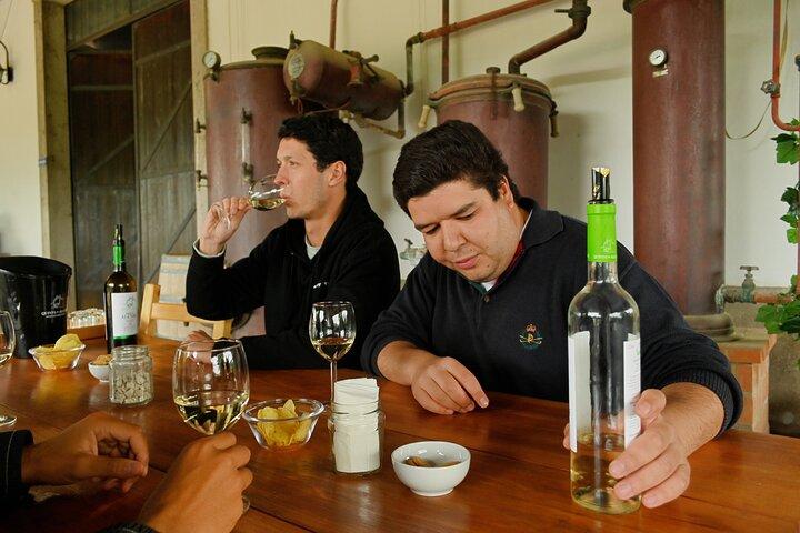Full Day Private Wine Tasting Tour - Sesimbra & Arrabida Park