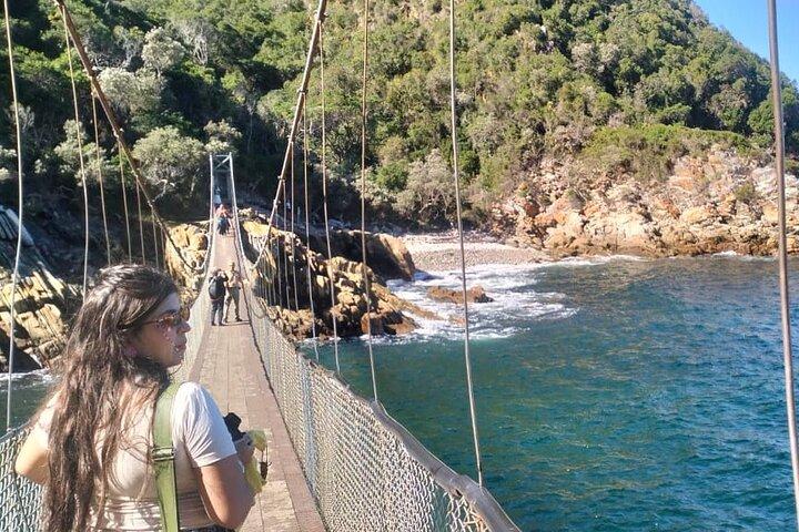 Tsitsikama National Park Day Tour from Port Elizabeth