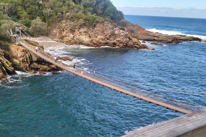 Tsitsikama National Park Day Tour from Port Elizabeth