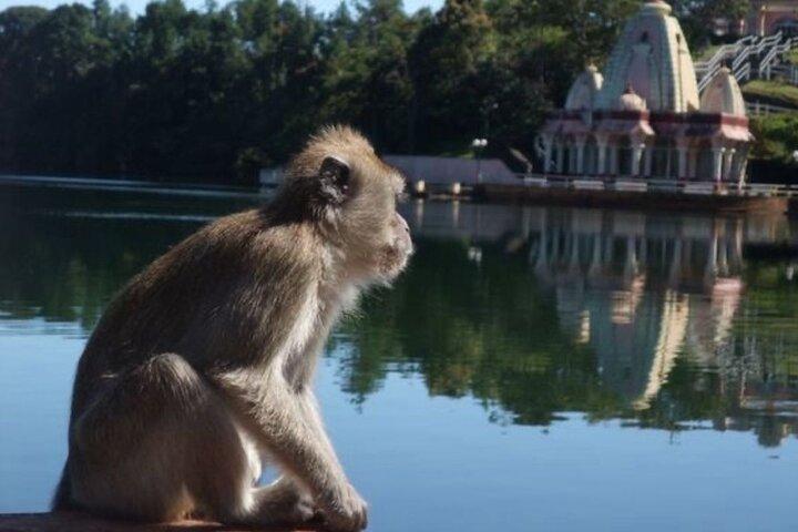 Mauritius South Highlights – Chamarel & Nature Wonders