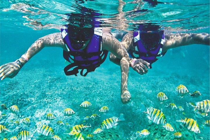 Full - Day Catalina Island Snorkel from Juan Dolio & Boca Chica
