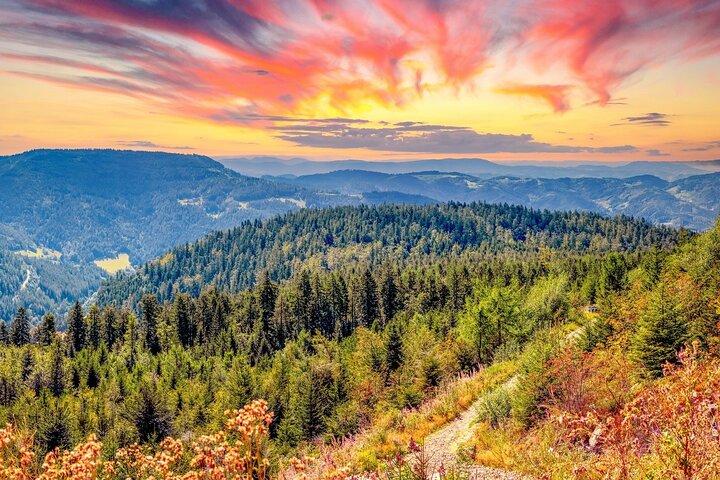 Experience Baden-Baden and the Black Forest from Frankfurt