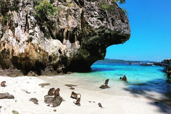 Phi Phi Islands Speedboat Tour Adventure from Krabi