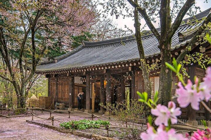Nami Island Tour with Petite France and Italian Village