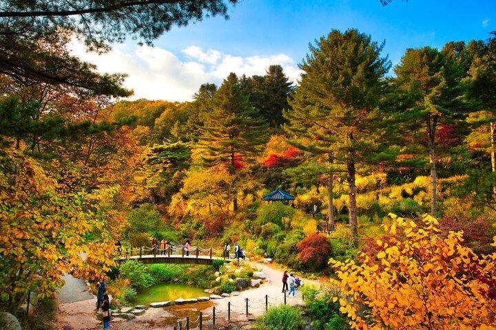 Nami Island Tour with Petite France and Italian Village