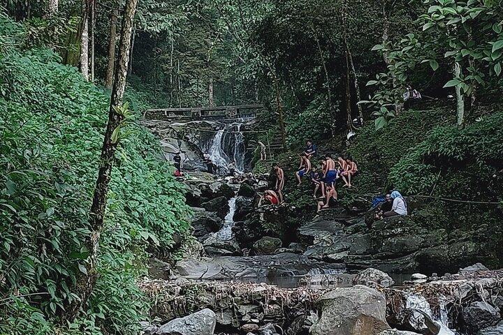 Jakarta Bogor Botanical Garden, Ricefield, Waterfall Shared Tour