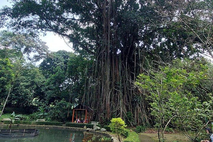 Jakarta Bogor Botanical Garden, Ricefield, Waterfall Shared Tour