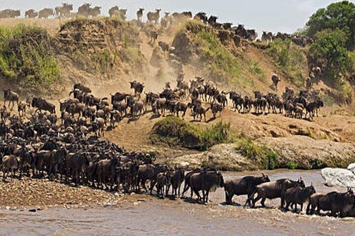 8 Days Highlight of Tanzania Mid-Range Standard