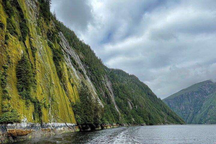 Misty Fjords and Wilderness Explorer from Ketchikan